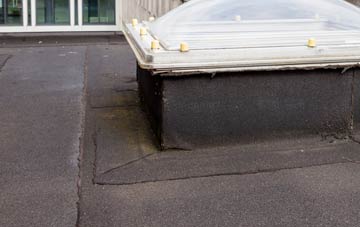 disadvantages of Leyfields flat roofs