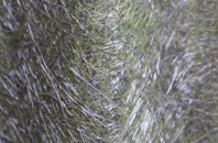 Leyfields fibreglass roof work